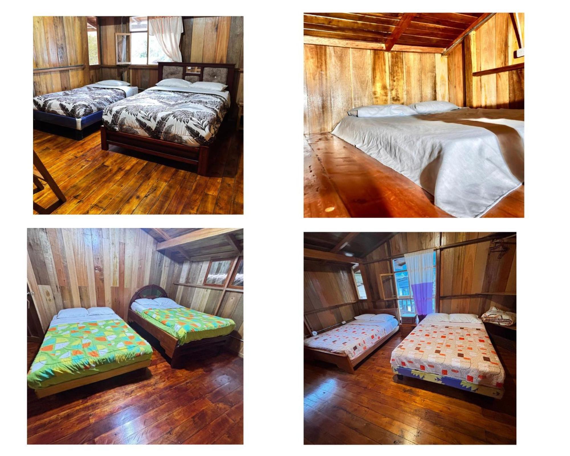 Hostal Vista Verde Mindo Bagian luar foto